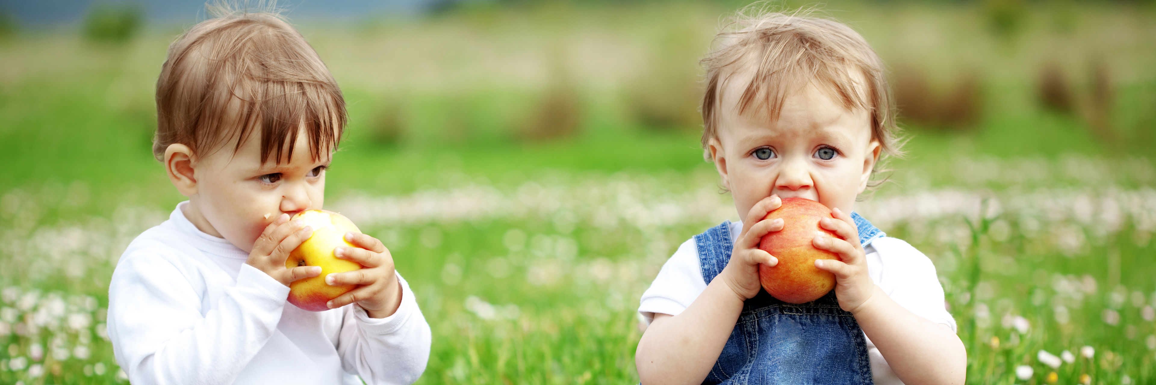 Søskende hygger med at spise æbler på græsplæne