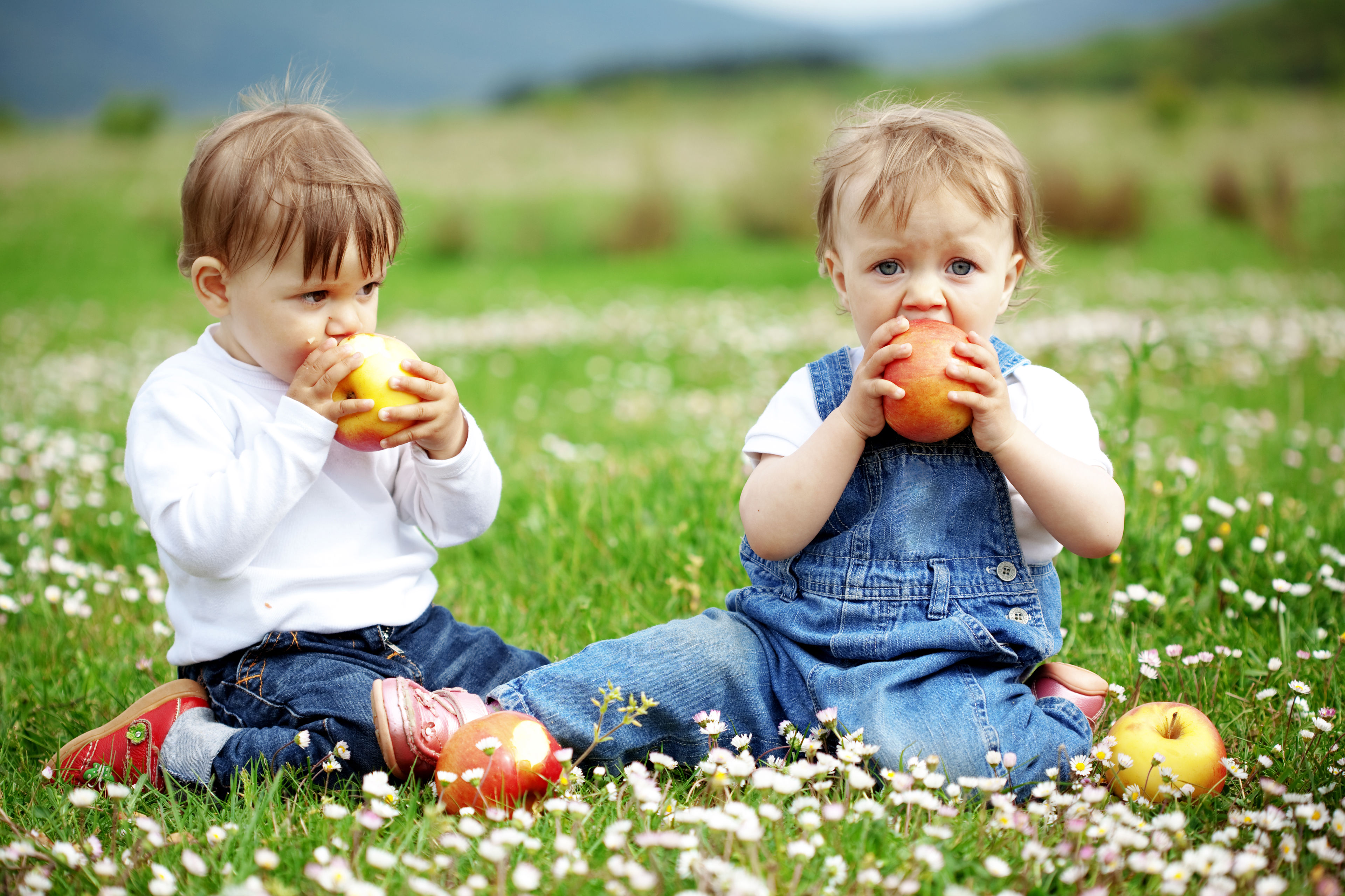Søskende hygger med at spise æbler på græsplæne