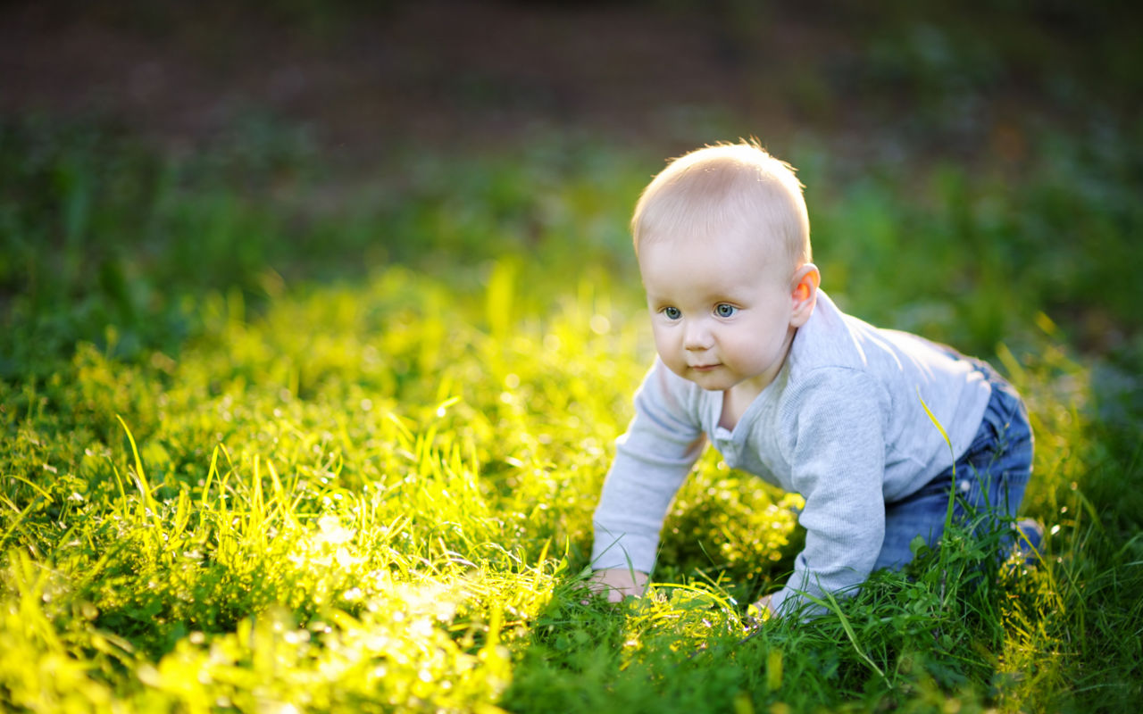 Dreng kravler i græs